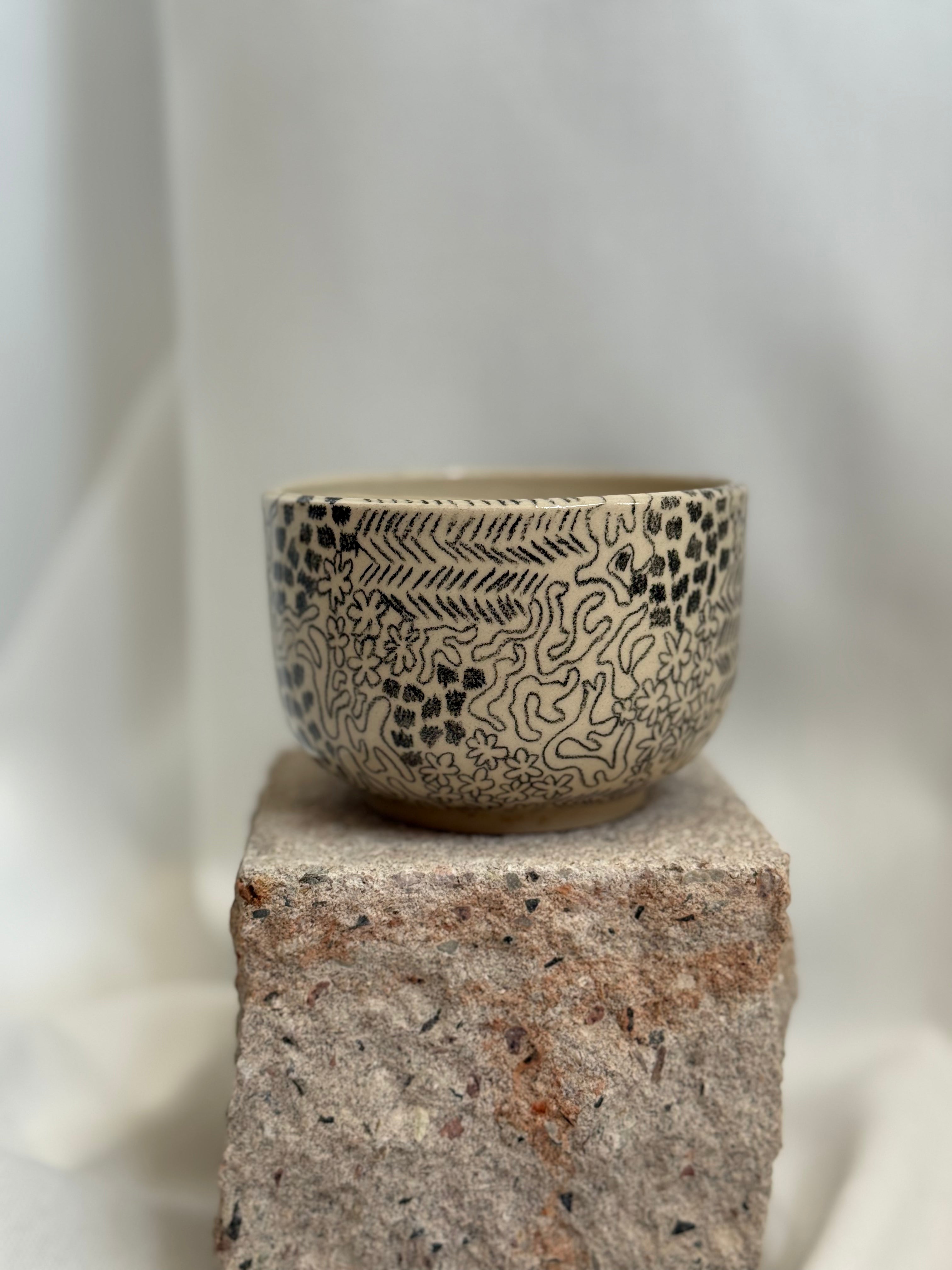 Daydream Cup
